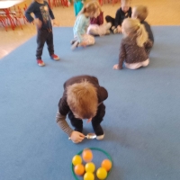 144-337980759_1230823814.jpg