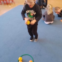 145-338309215_2285341863.jpg