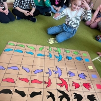 149-338914936_7555425396.jpg