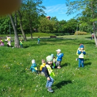 166-343407213_9591548188.jpg