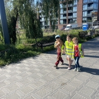 186-375175048_2628227267.jpg