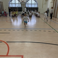 208-363530315_6721275341.jpg