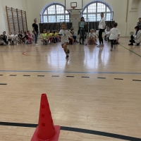 208-377150838_6309284705.jpg
