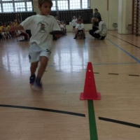 208-387331964_3485192343.jpg