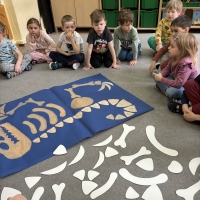 259-IMG_6096.jpeg.jpeg