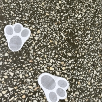270-IMG_6617.jpeg.jpeg