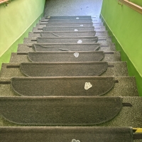 270-IMG_6620.jpeg.jpeg