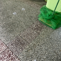 270-IMG_6621.jpeg.jpeg