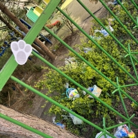 270-IMG_6629.jpeg.jpeg