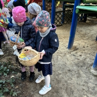 270-IMG_6634.jpeg.jpeg