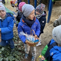 270-IMG_6635.jpeg.jpeg