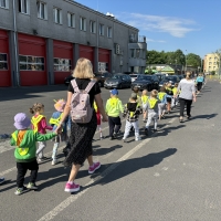 283-IMG_7213.JPEG.jpeg