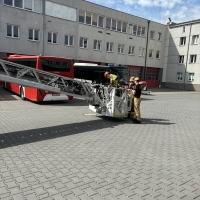 283-IMG_7242.JPEG.jpeg