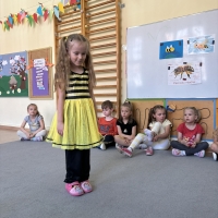 290-IMG_7335.JPEG.jpeg