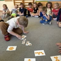 290-IMG_7337.JPEG.jpeg