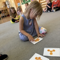 290-IMG_7345.JPEG.jpeg