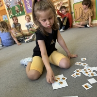 290-IMG_7347.JPEG.jpeg