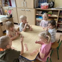 291-IMG_7456.JPEG.jpeg