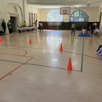 292-IMG_7484.JPEG.jpeg