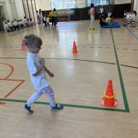 292-IMG_7498.JPEG.jpeg