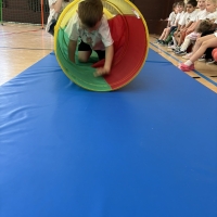 292-IMG_7524.JPEG.jpeg