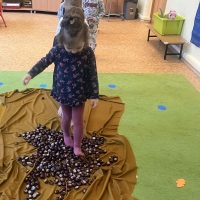 308-462538486_5230961973.jpg