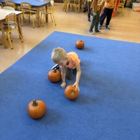 315-IMG_9712.JPEG.jpeg