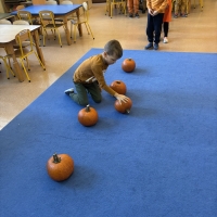 315-IMG_9713.JPEG.jpeg