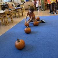 315-IMG_9715.JPEG.jpeg