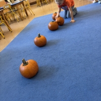 315-IMG_9719.JPEG.jpeg