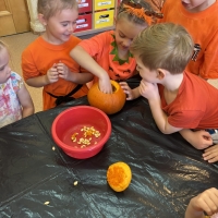 315-IMG_9737.JPEG.jpeg