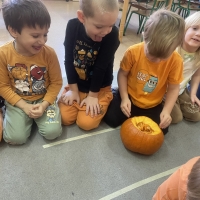 316-IMG_8110.JPEG.jpeg