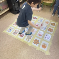 331-468569488_5597982570.jpg