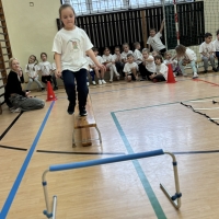 351-IMG_0782.JPEG.jpeg