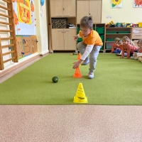 53-315118462_5298868286.jpg