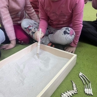 65-317022398_8313813547.jpg